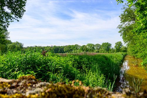 Lente in de Kempen: Beeklandschap in Rijkevorsel