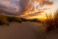 Sunset in the dunes