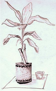 Plante dans un pot sur une table avec une bouteille et une tasse - aquarelle peinte par VK (Veit Kes
