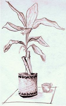 Plant in pot op tafel met fles en beker - aquarel geschilderd door VK (Veit Kessler)