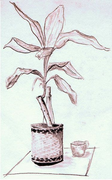 Plant in pot op tafel met fles en beker - aquarel geschilderd door VK (Veit Kessler) van ADLER & Co / Caj Kessler