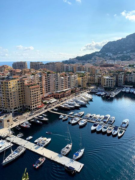 Monaco by Hello Pompoyo