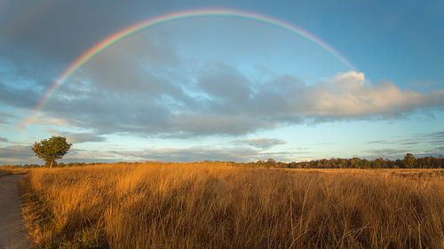 Regenboog boven Nederland