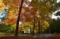 At the cemetery in autumn by Claude Laprise thumbnail