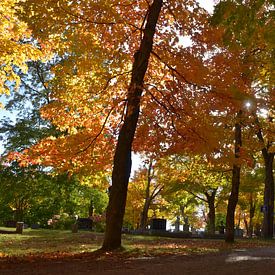 At the cemetery in autumn by Claude Laprise