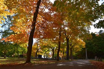 At the cemetery in autumn by Claude Laprise