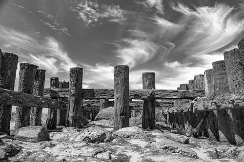 groynes in black and white zeeland
