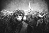 Kiss me, Kate III