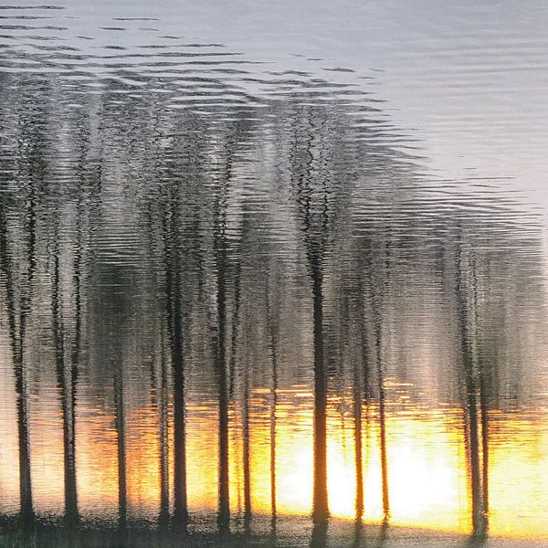 Zonnig spiegelbeeld von Bob Bleeker