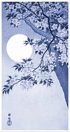 Blühende Kirschblüten im Mondlicht in Hellblau (Ohara Koson)