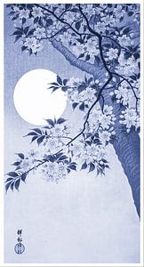 Blühende Kirschblüten im Mondlicht in Hellblau (Ohara Koson)