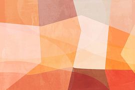 Blocs de couleurs abstraites dans les tons corail, rose, terra... sur Dina Dankers