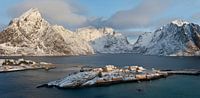 Noorwegen, Sakrisøya par Conny  van Kordelaar Aperçu