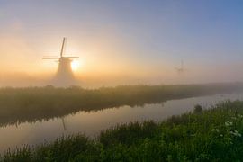 Children's dike at its best! by Remco Van Daalen