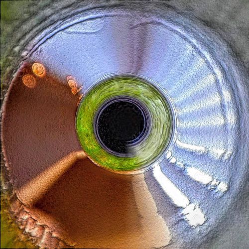 Het oog - de kunst van zien