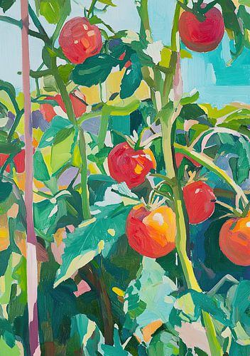 Tomatenstruik Keukenkruiden