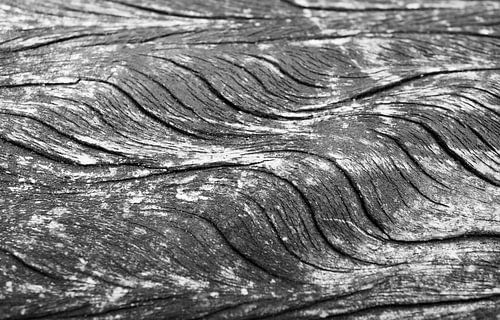 Waves in the wood in black and white