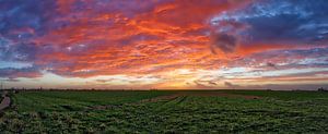 Panoramic of a sunset with view over landing zone of Brussels Airport von Bruno Baudry