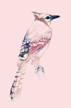 Geai Bleu | Edition rose, Aquarelle d'un oiseau en art numérique