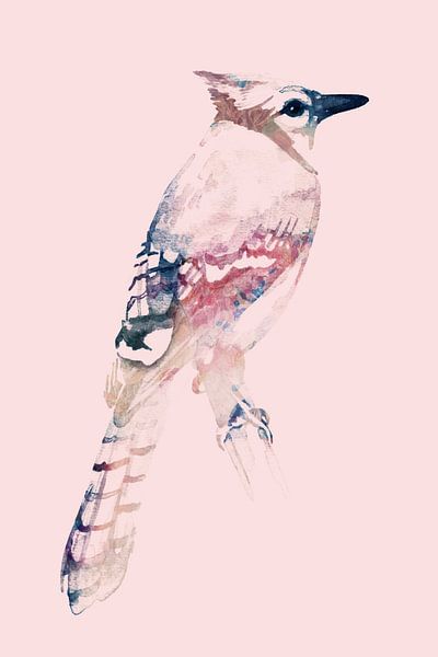 Blauwe Gaai | Roze editie, Aquarel van een vogel in Digitale Kunst