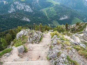 Felsen am Jenner in den Berchtesgadener Alpen von Animaflora PicsStock