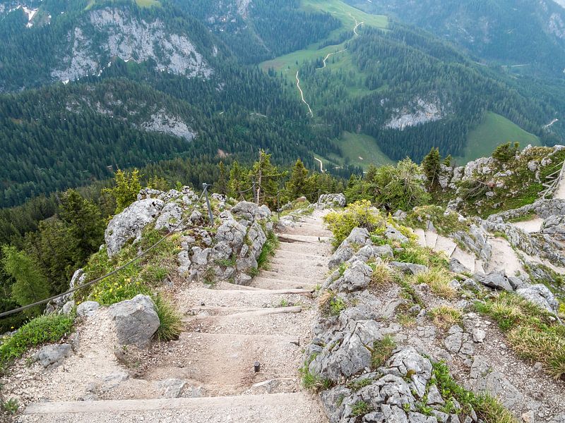 Rocks at the Jenner in the Berchtesgaden Alps by Animaflora PicsStock
