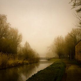 Mist van Willem  Bentink