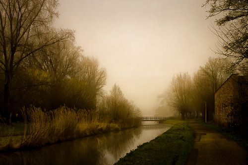 Fog by Willem  Bentink