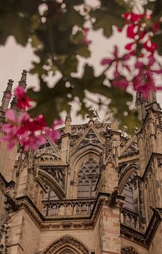 Domkerk in Utrecht met vrolijke bloemetjes van Jasmijn's viewfinder