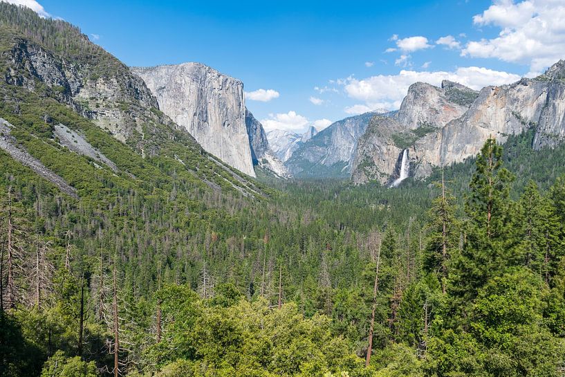 Het mooiste uitzicht van Yosemite Nationaal Park in Amerika van Linda Schouw