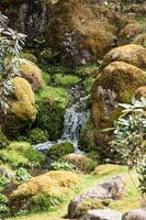 japanse tuin 