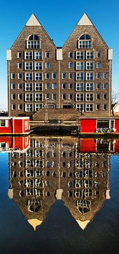 Reflectie sur Harrie Muis