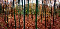 Herbst Wetter