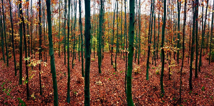 Herbst Wetter van Markus Wegner