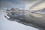 Lofoten en hiver par Rolf Schnepp Aperçu