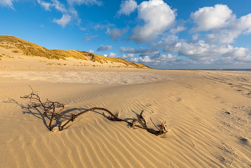 Les côtes dans le sable par Ron Buist