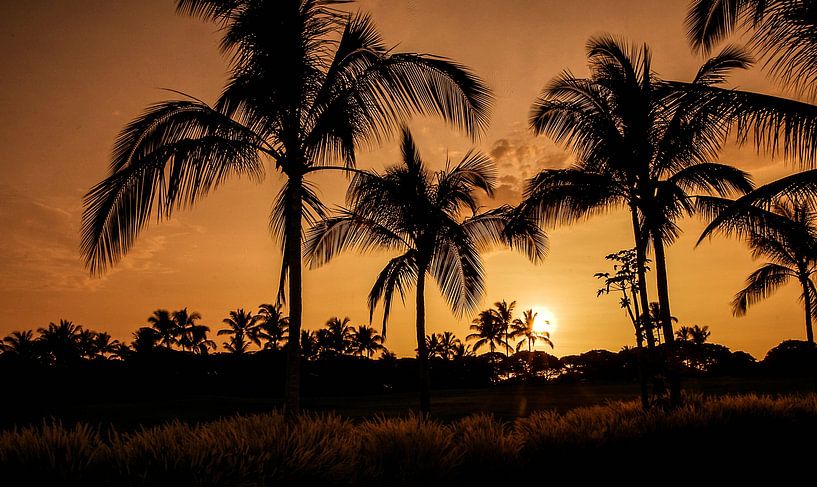 coucher de soleil à Hawaii par Jim De Sitter