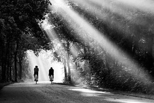 Cyclists in landscape