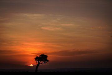Zonsondergang met boom in de Masai Mara van Simone Janssen