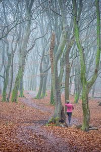 Wandelaar in het bos met bomen in de mist in het Speulderbos in Emelo Nederland van Bart Ros