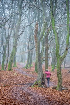 Wandelaar in het bos met bomen in de mist in het Speulderbos in Emelo Nederland