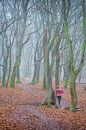 Wandelaar in het bos met bomen in de mist in het Speulderbos in Emelo Nederland van Bart Ros thumbnail
