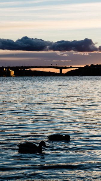 Stockholm par Hello Pompoyo