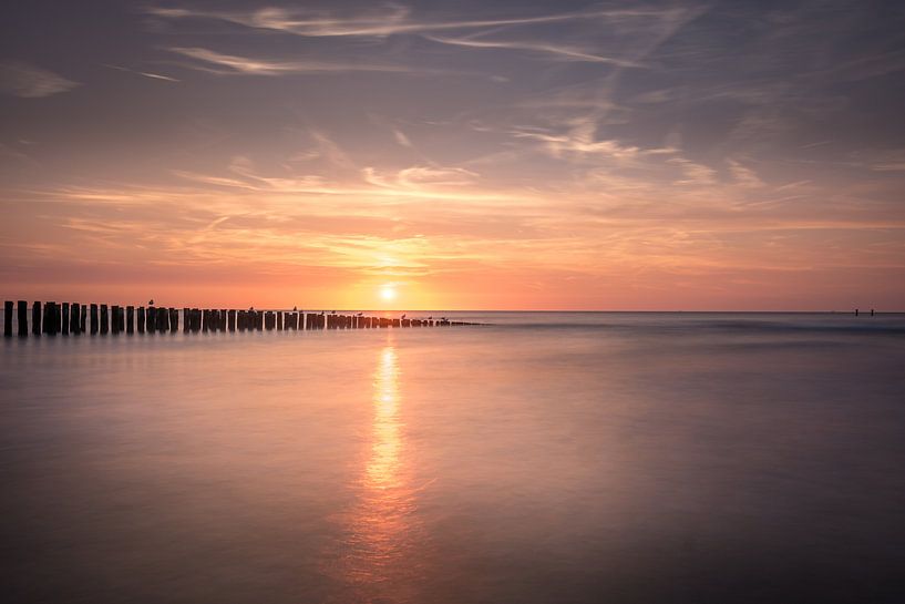 Wide by Bas Holtrop