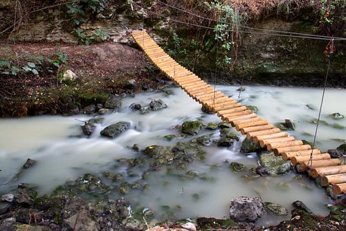 Le pont des arbres