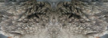 Photographic diptych wild goose wings - wild - magical realism by Fred Roest