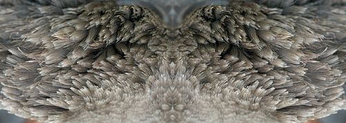 Fotografisch Tweeluik wilde ganzenvleugels - wild - magisch realisme van Fred Roest