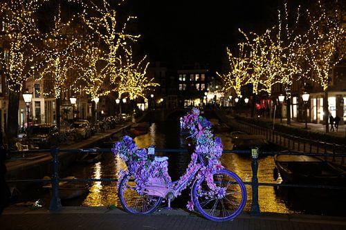 Flower bike by Edwin Butter