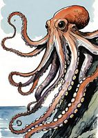 Octopus