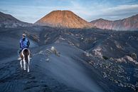 Auf dem schwarzen Sand des Vulkans Bromo von Anges van der Logt Miniaturansicht